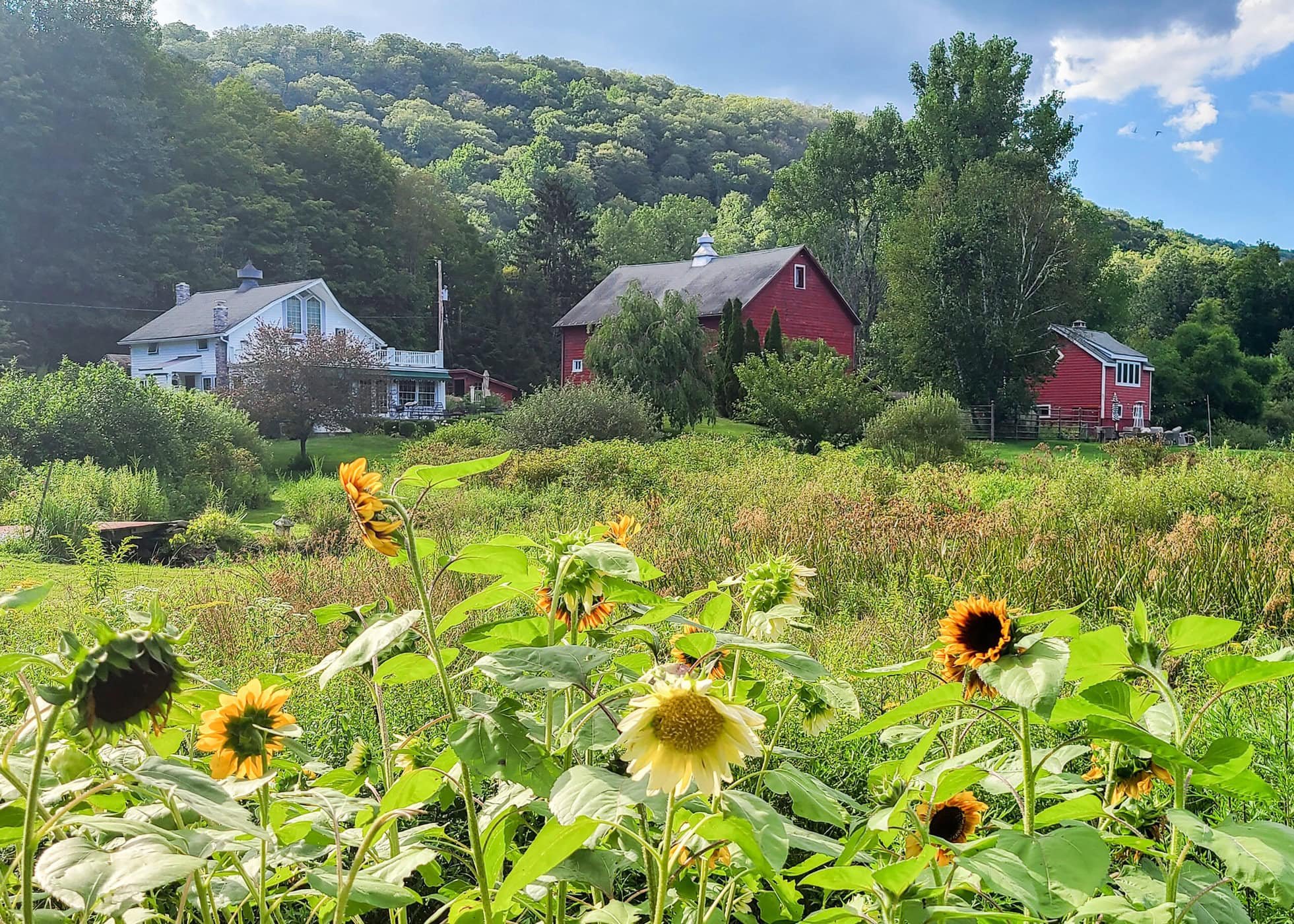 🚗 우쓰노미야 로맨틱 마을 휴게소(미치노에키 우쓰노미야 로만칫쿠무라) 이미지 9